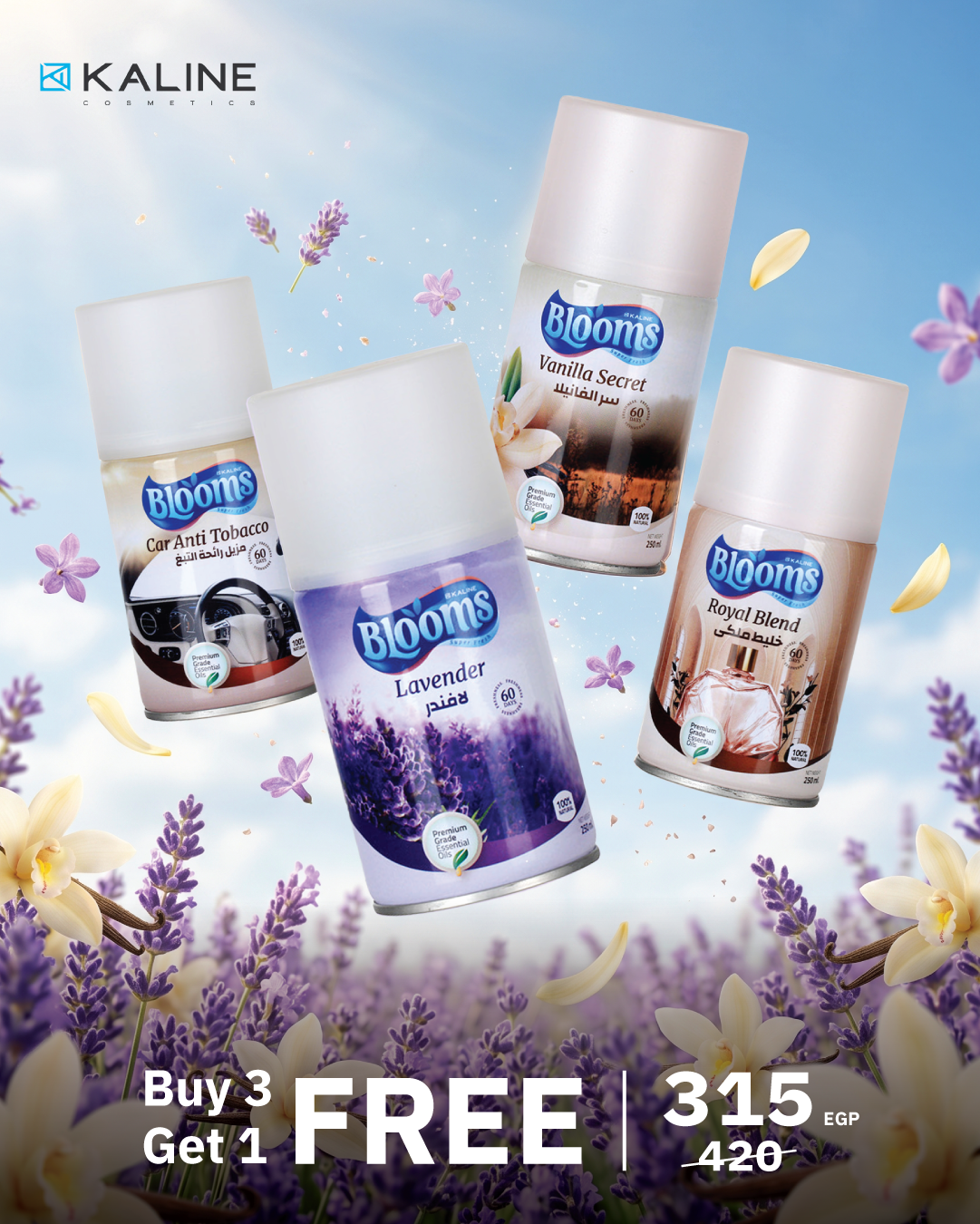 Fresh Drive Bundle Buy Vanilla + Lavender + Royal Blend & Get Car Anti-Tobacco Free