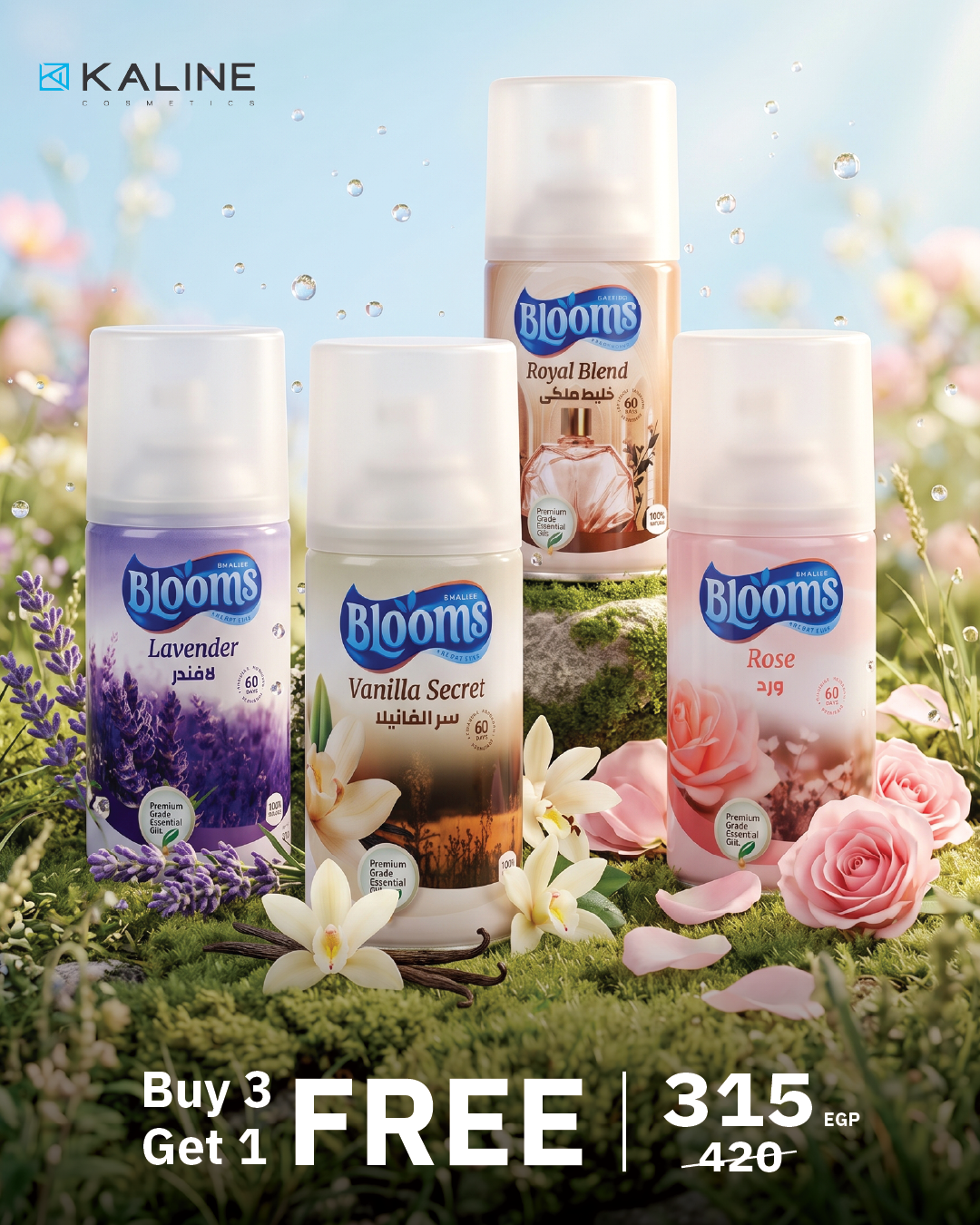 Royal Bloom Bundle Buy Vanilla + Lavender + Rose Aoud & Get Royal Blend Free
